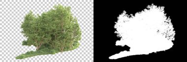 Maskeli, şeffaf arka planda yeşil ağaçlar. 3D görüntüleme. Doğa                           