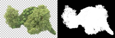 Maskeli, şeffaf arka planda yeşil ağaçlar. 3D görüntüleme. Doğa                           