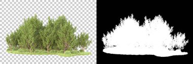 Maskeli, şeffaf arka planda yeşil ağaçlar. 3D görüntüleme. Doğa                           