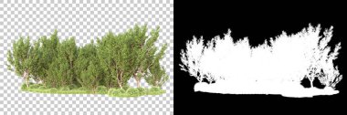 Maskeli, şeffaf arka planda yeşil ağaçlar. 3D görüntüleme. Doğa                           