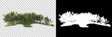Maskeli, şeffaf arka planda yeşil ağaçlar. 3D görüntüleme. Doğa                           