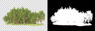 Maskeli, şeffaf arka planda yeşil ağaçlar. 3D görüntüleme. Doğa                           