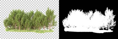 Maskeli, şeffaf arka planda yeşil ağaçlar. 3D görüntüleme. Doğa                           