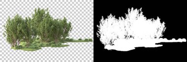 Maskeli, şeffaf arka planda yeşil ağaçlar. 3D görüntüleme. Doğa                           