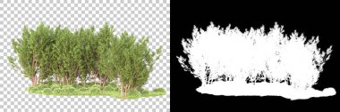 Maskeli, şeffaf arka planda yeşil ağaçlar. 3D görüntüleme. Doğa                           