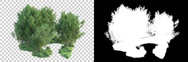 Şeffaf arka planda maskeli ağaçlar. 3D görüntüleme. Doğa                           