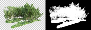 Şeffaf arka planda maskeli ağaçlar. 3D görüntüleme. Doğa                           