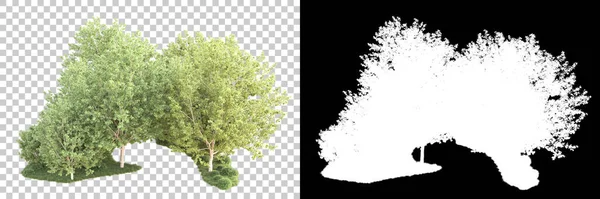 Yeşil orman, şeffaf arka planda maskeyle izole edilmiş. 3d oluşturma 