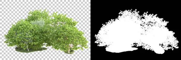 Yeşil orman, şeffaf arka planda maskeyle izole edilmiş. 3d oluşturma 