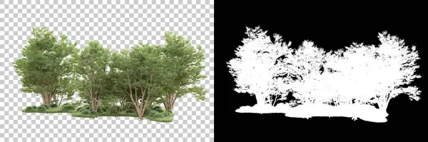 trees on transparent background with mask. 3d rendering. Nature