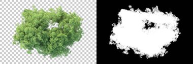 Şeffaf arka planda maskeli ağaçlar. 3D görüntüleme. Doğa                           