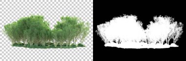 Şeffaf arka planda maskeli ağaçlar. 3D görüntüleme. Doğa                           
