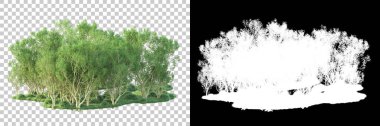 Maskeli, şeffaf arka planda yeşil ağaçlar. 3D görüntüleme. Doğa                           