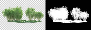 Maskeli, şeffaf arka planda yeşil ağaçlar. 3D görüntüleme. Doğa                           
