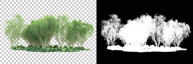 Maskeli, şeffaf arka planda yeşil ağaçlar. 3D görüntüleme. Doğa                           