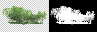 Maskeli, şeffaf arka planda yeşil ağaçlar. 3D görüntüleme. Doğa                           