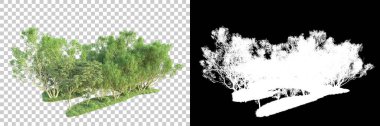 Maskeli, şeffaf arka planda yeşil ağaçlar. 3D görüntüleme. Doğa                           