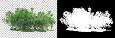 Maskeli, şeffaf arka planda yeşil ağaçlar. 3D görüntüleme. Doğa                           