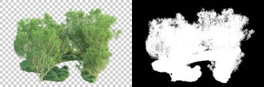 Maskeli, şeffaf arka planda yeşil ağaçlar. 3D görüntüleme. Doğa                           