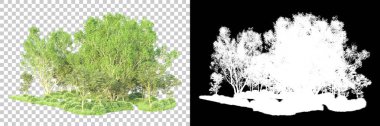 Maskeli, şeffaf arka planda yeşil ağaçlar. 3D görüntüleme. Doğa                           