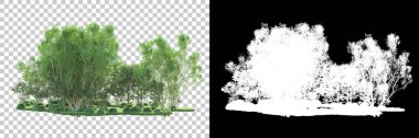 Maskeli, şeffaf arka planda yeşil ağaçlar. 3D görüntüleme. Doğa                           