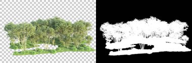 Maskeli, şeffaf arka planda yeşil ağaçlar. 3D görüntüleme. Doğa                           