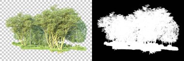 Maskeli, şeffaf arka planda yeşil ağaçlar. 3D görüntüleme. Doğa                           