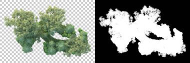 Maskeli, şeffaf arka planda yeşil ağaçlar. 3D görüntüleme. Doğa                           
