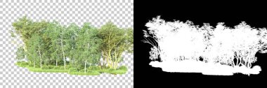 Maskeli, şeffaf arka planda yeşil ağaçlar. 3D görüntüleme. Doğa                           