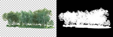 Maskeli, şeffaf arka planda yeşil ağaçlar. 3D görüntüleme. Doğa                           