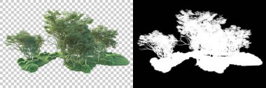 Maskeli, şeffaf arka planda yeşil ağaçlar. 3D görüntüleme. Doğa                           