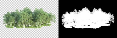 Maskeli, şeffaf arka planda yeşil ağaçlar. 3D görüntüleme. Doğa                           