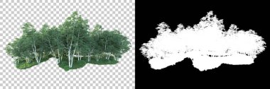 Maskeli, şeffaf arka planda yeşil ağaçlar. 3D görüntüleme. Doğa                           