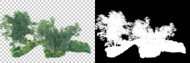 Maskeli, şeffaf arka planda yeşil ağaçlar. 3D görüntüleme. Doğa                           
