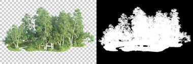 Maskeli, şeffaf arka planda yeşil ağaçlar. 3D görüntüleme. Doğa                           