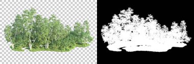 Maskeli, şeffaf arka planda yeşil ağaçlar. 3D görüntüleme. Doğa                           