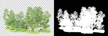 Maskeli, şeffaf arka planda yeşil ağaçlar. 3D görüntüleme. Doğa                           