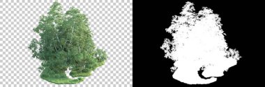 Maskeli, şeffaf arka planda yeşil ağaçlar. 3D görüntüleme. Doğa                           