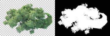 Maskeli, şeffaf arka planda yeşil ağaçlar. 3D görüntüleme. Doğa                           