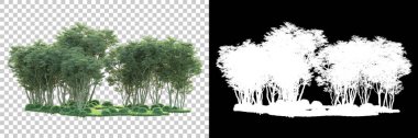 Maskeli, şeffaf arka planda yeşil ağaçlar. 3D görüntüleme. Doğa                           