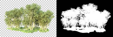 Maskeli, şeffaf arka planda yeşil ağaçlar. 3D görüntüleme. Doğa                           