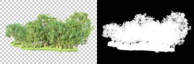 Maskeli, şeffaf arka planda yeşil ağaçlar. 3D görüntüleme. Doğa                           