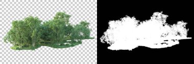 Maskeli, şeffaf arka planda yeşil ağaçlar. 3D görüntüleme. Doğa                           