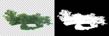 Maskeli, şeffaf arka planda yeşil ağaçlar. 3D görüntüleme. Doğa                           