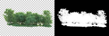 Maskeli, şeffaf arka planda yeşil ağaçlar. 3D görüntüleme. Doğa                           