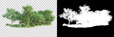 Maskeli, şeffaf arka planda yeşil ağaçlar. 3D görüntüleme. Doğa                           