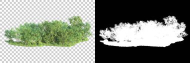 Maskeli, şeffaf arka planda yeşil ağaçlar. 3D görüntüleme. Doğa                           
