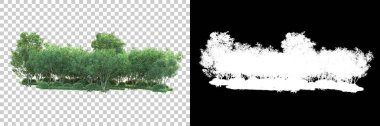 Maskeli, şeffaf arka planda yeşil ağaçlar. 3D görüntüleme. Doğa                           