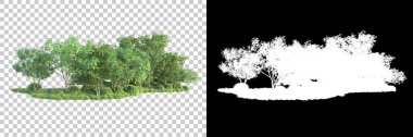 Maskeli, şeffaf arka planda yeşil ağaçlar. 3D görüntüleme. Doğa                           