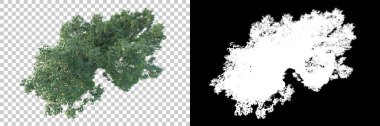 Maskeli, şeffaf arka planda yeşil ağaçlar. 3D görüntüleme. Doğa                           